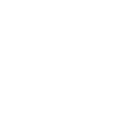 Store icon